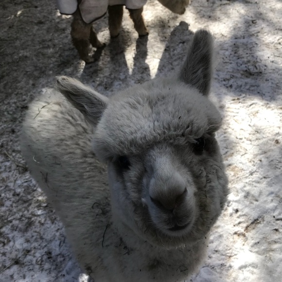 Meet your Posher, Michele - Picture 2 of 8